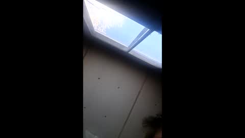 realisararebreed online show from 12.21.25