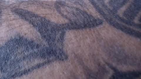 realrubpirate online show from 01.18.25