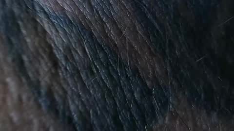 realrubpirate online show from 09.26.25