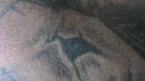 realrubpirate online show from 11.02.25