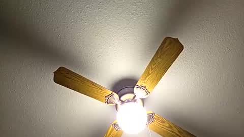 Snapshot of red24devils chatting on 02.02.26 red24devils online show from 02.02.26