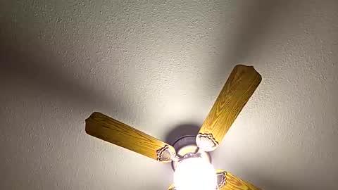 Snapshot of red24devils chatting on 02.18.26 red24devils online show from 02.18.26