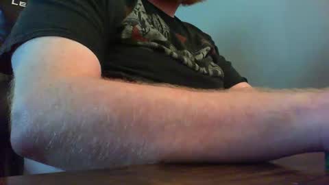 red_sea_bear online show from 03.03.25