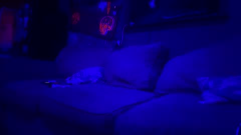 Lee online show from 03.10.26