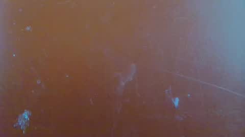 Snapshot of reina_paola chatting on 01.29.25 paola online show from 01.29.25