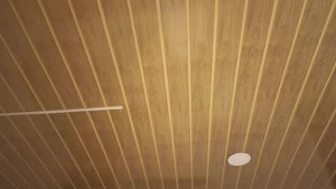 renaxi_smith online show from 01.17.26