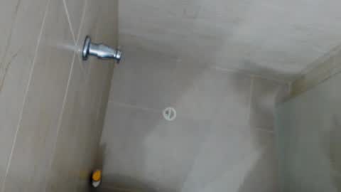 Rex online show from 04.25.26