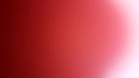 Snapshot of rhino69xx chatting on 12.08.24 rhino69xx online show from 12.08.24