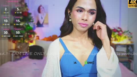 Snapshot of ribbinbovkoy chatting on 12.25.24 ribbinbovkoy online show from 12.25.24