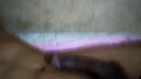 Snapshot of rica1234567890961640 chatting on 10.21.25 rica1234567890961640 online show from 10.21.25