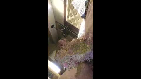 rich7665 online show from 04.26.26