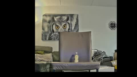 richard__076__ online show from 04.03.26