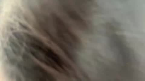 Ammy here its my first stream here online show from 02.27.26