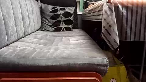 FireLion online show from 04.13.26