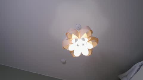 Snapshot of rinassecret chatting on 12.24.24 Rina online show from 12.24.24