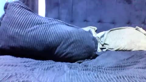 cookie online show from 12.04.24