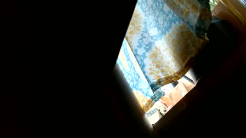 riskyjizznessss online show from 12.31.24