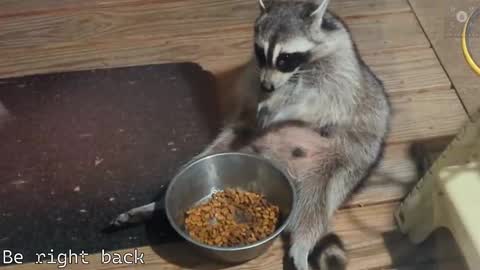 Ryan aka KeylimeRy online show from 02.28.25