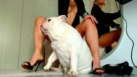 Sasha online show from 04.14.26