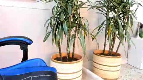 Snapshot of roan_birkin chatting on 07.17.26 Roan Birkin online show from 07.17.26
