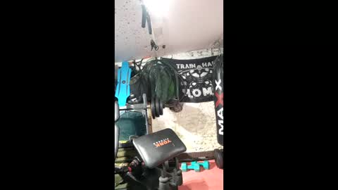 rob online show from 03.01.26