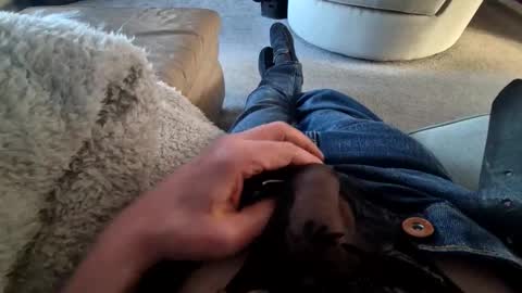rob45792 online show from 03.19.26
