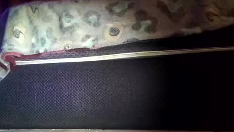 Snapshot of robert227818 chatting on 11.08.25 robert227818 online show from 11.08.25