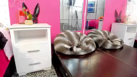 Vannellope online show from 04.08.26