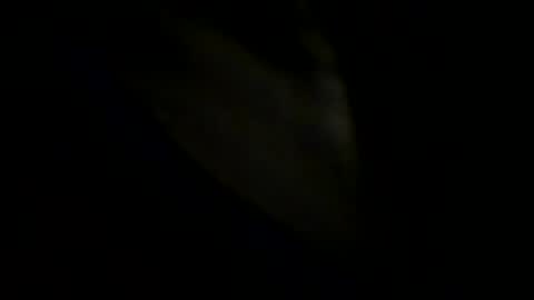 Johnny online show from 05.31.26