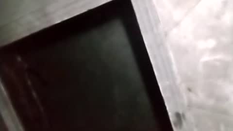 R online show from 02.05.26