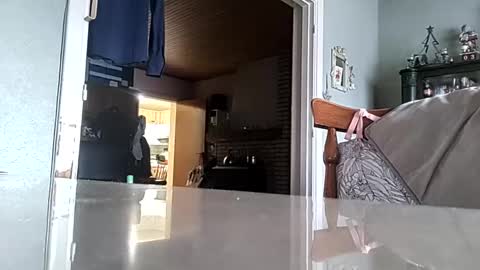 robke1966 online show from 01.04.25