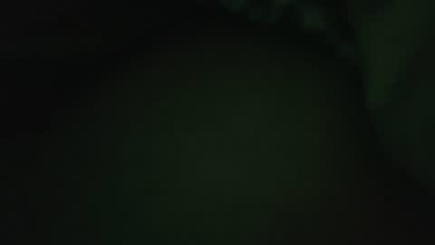 rocce4147 online show from 08.07.26