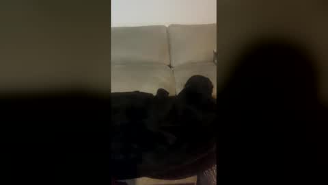 rogerbenid81 online show from 04.19.26