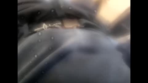 rollino83 online show from 11.09.25