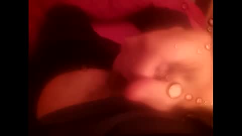 rollino83 online show from 12.17.25