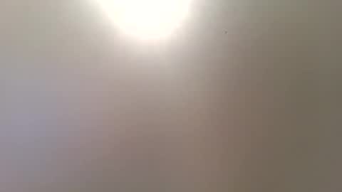 Trinked online show from 12.16.25