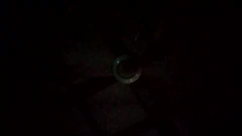 rompeculos121 online show from 03.09.25