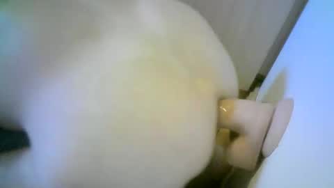 romson998181 online show from 11.01.25