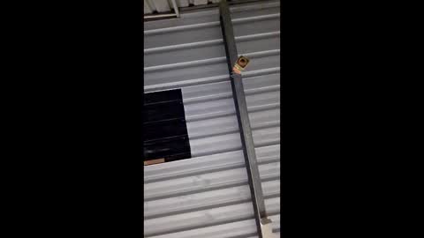 Snapshot of ronabater chatting on 01.11.26 ronabater online show from 01.11.26