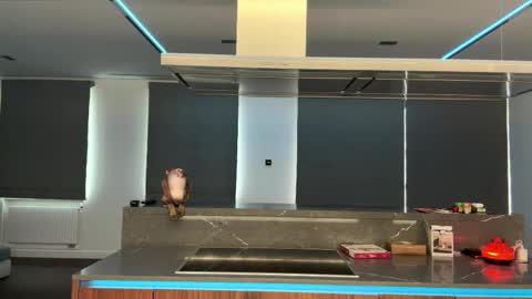 Snapshot of ronaldleidholt chatting on 04.02.26 Ketlyn is here now help me get 50 thumbs up pls online show from 04.02.26