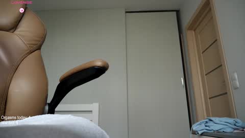 Snapshot of ronny_ponny chatting on 02.01.25 RonnyPonny online show from 02.01.25