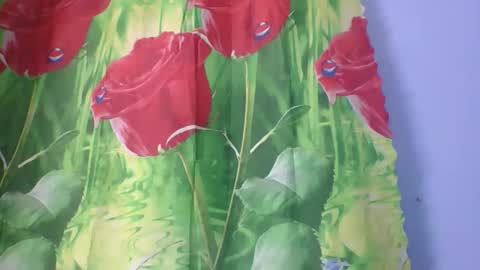 rosah225127 online show from 04.14.26