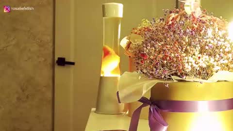 Snapshot of rosaliefetish chatting on 11.16.25 Rosalie online show from 11.16.25