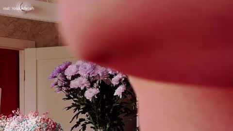 Rosalie online show from 03.31.26