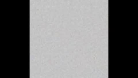 Rose online show from 10.23.25