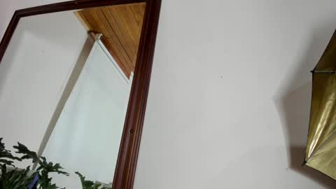 Lyla OF roselinedior online show from 12.30.24