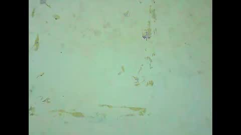 rosie6601 online show from 03.21.26