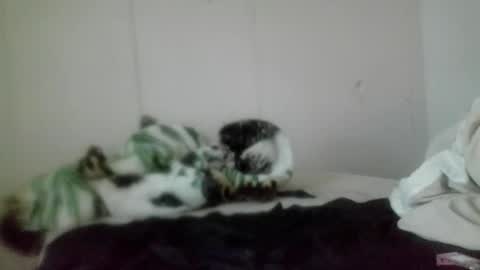 Roxy and Brock online show from 11.05.25