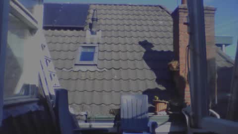 royalpapi12 online show from 04.01.26