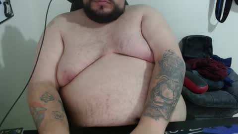 Bear online show from 02.04.26